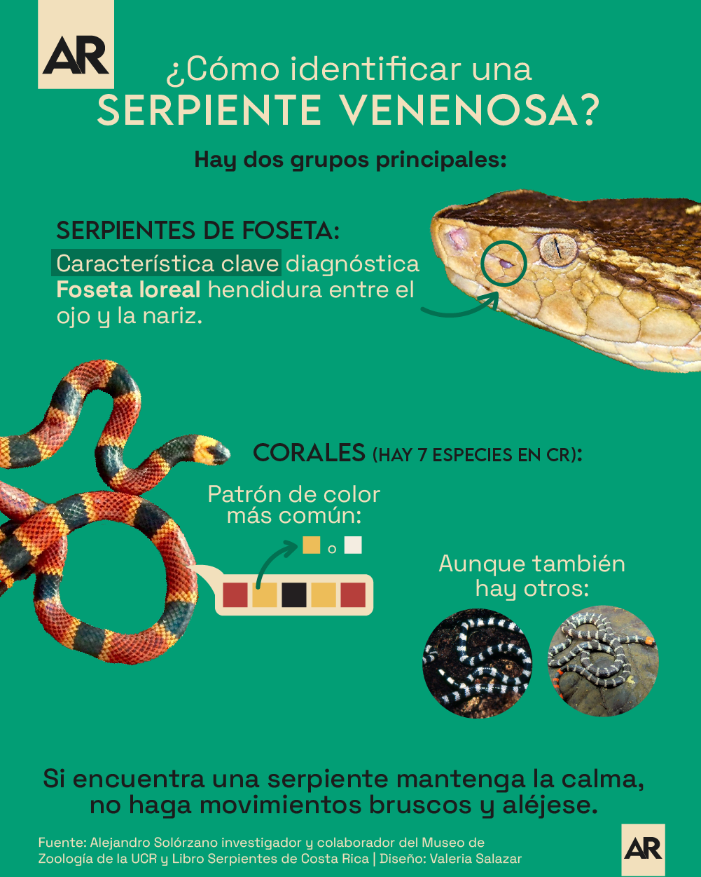 180923_Serpientes_Venenosas_Identifique.png