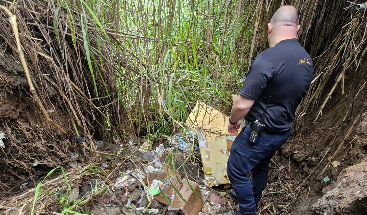 oij, investigación, hallazgo, bebé, hatillo