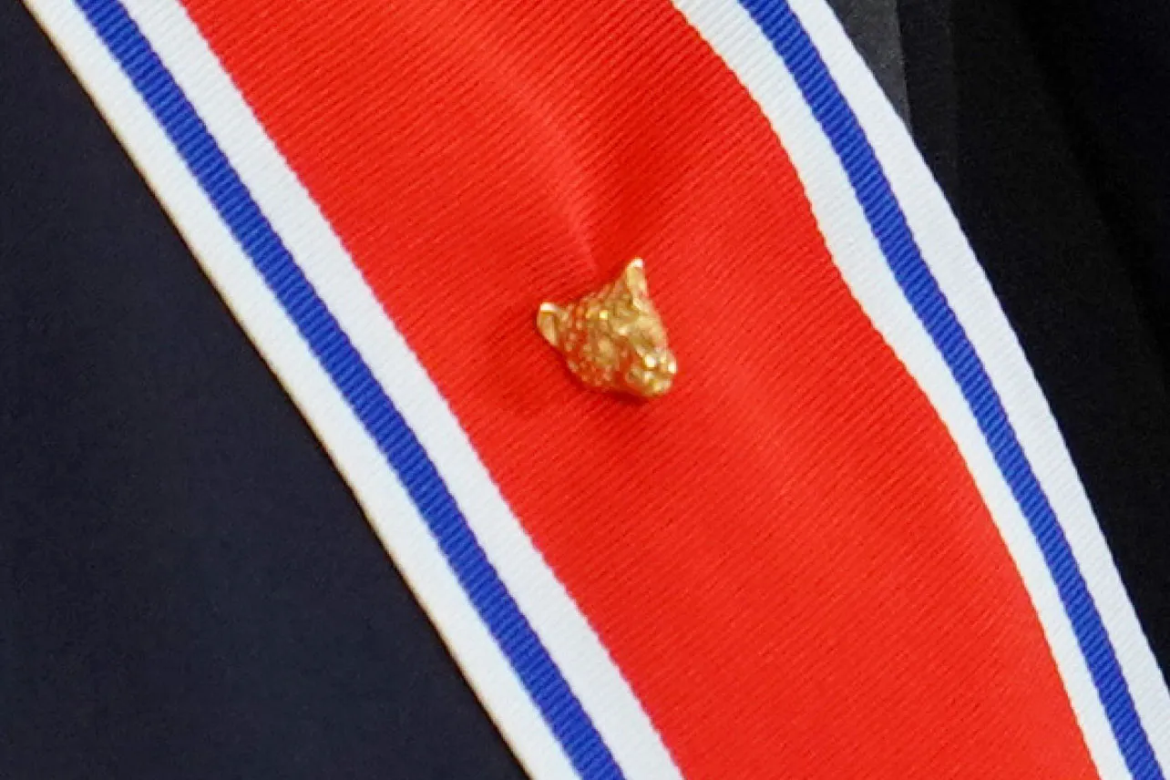 Recurso de amparo, pines, jaguar, Sala IV, informe, Presidencia, Noticias, Costa Rica,