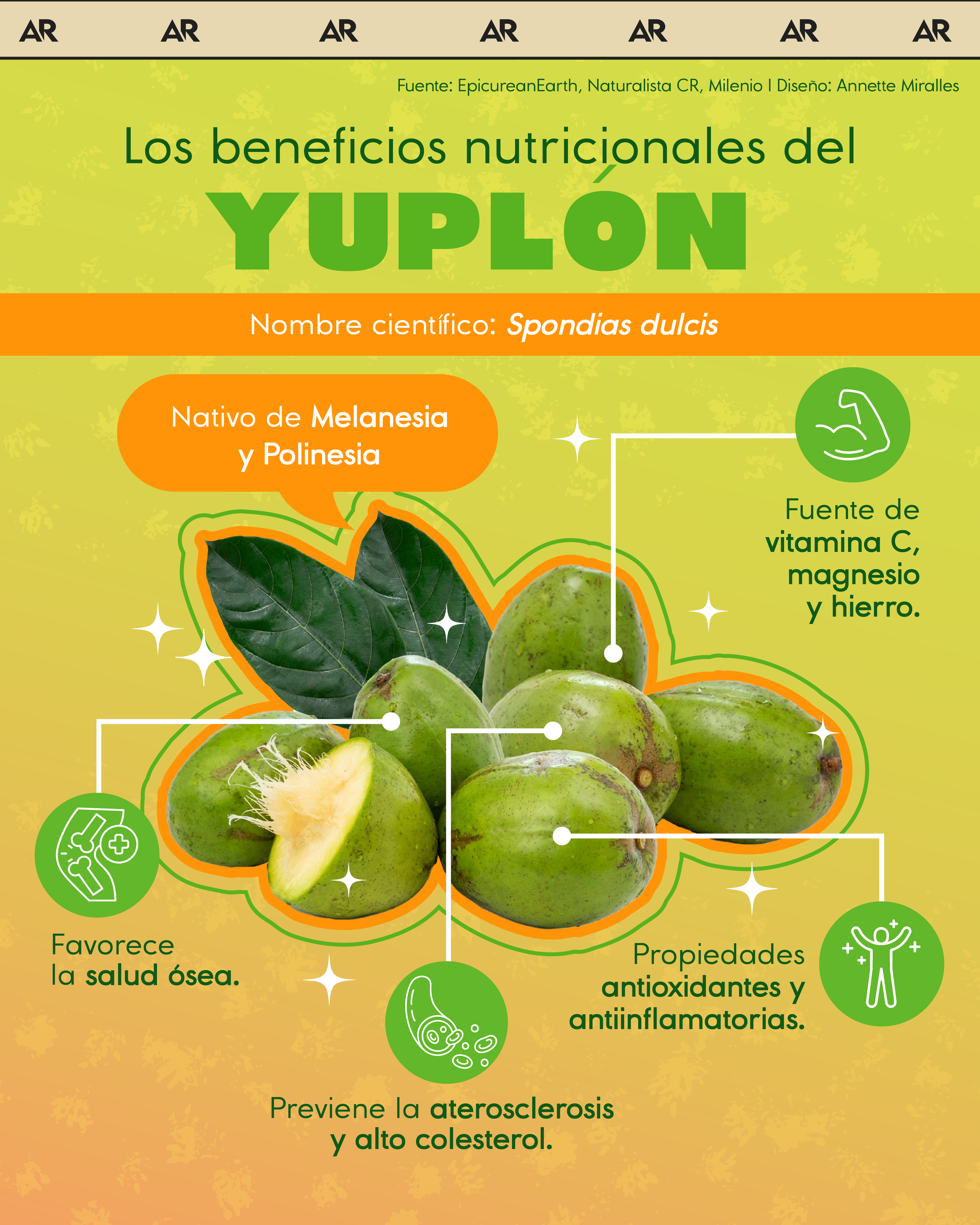 yuplón, propiedades, nutrición, salud, noticias, costa rica 