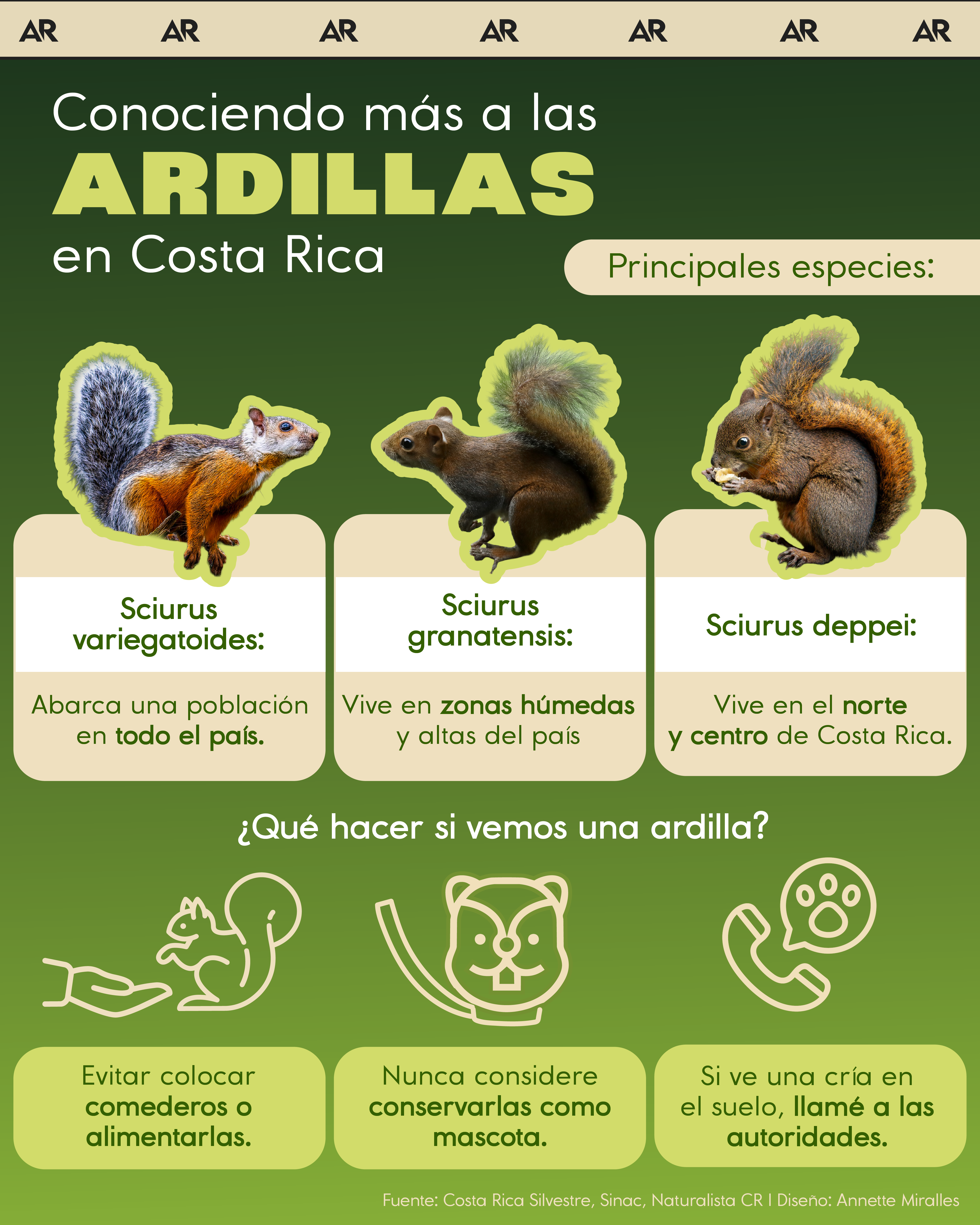 ardillas, especies, ambiente, noticias, Costa Rica 