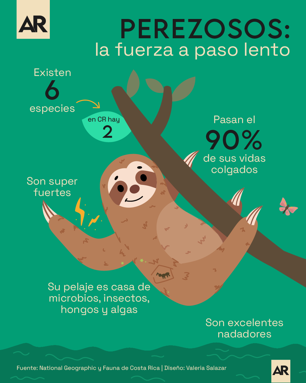 Animales, Oso perezoso, Lento, Fuerza, Especies