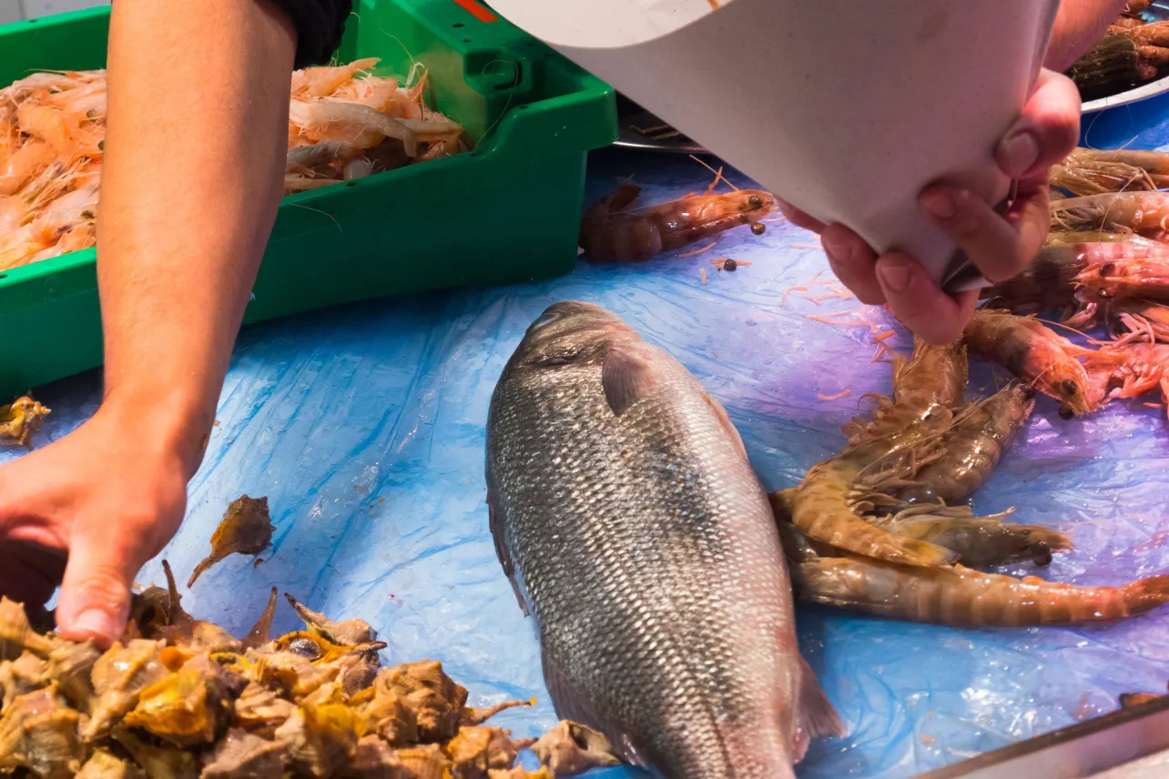 Nuevo reglamento, control, límites, malos olores, noticias, Costa Rica