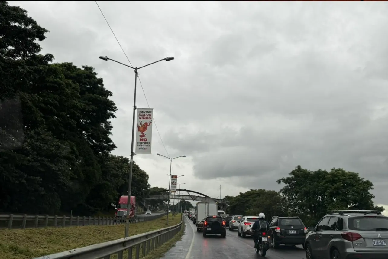 Recurso, revocatoria, CNFL, MOPT, publicidad, postes, CGR, noticias, Costa Rica