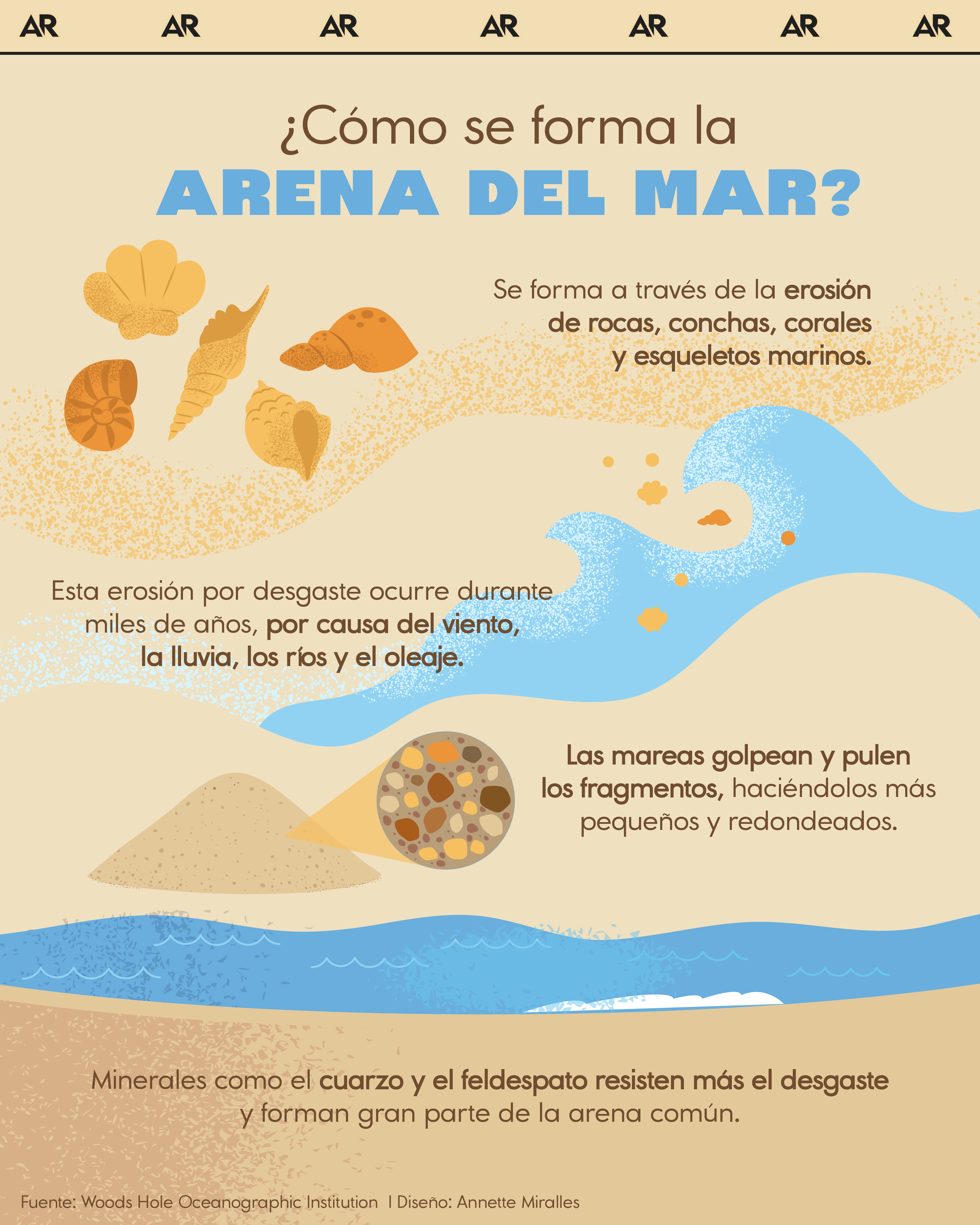 ¿Cómo se forma la arena del mar?