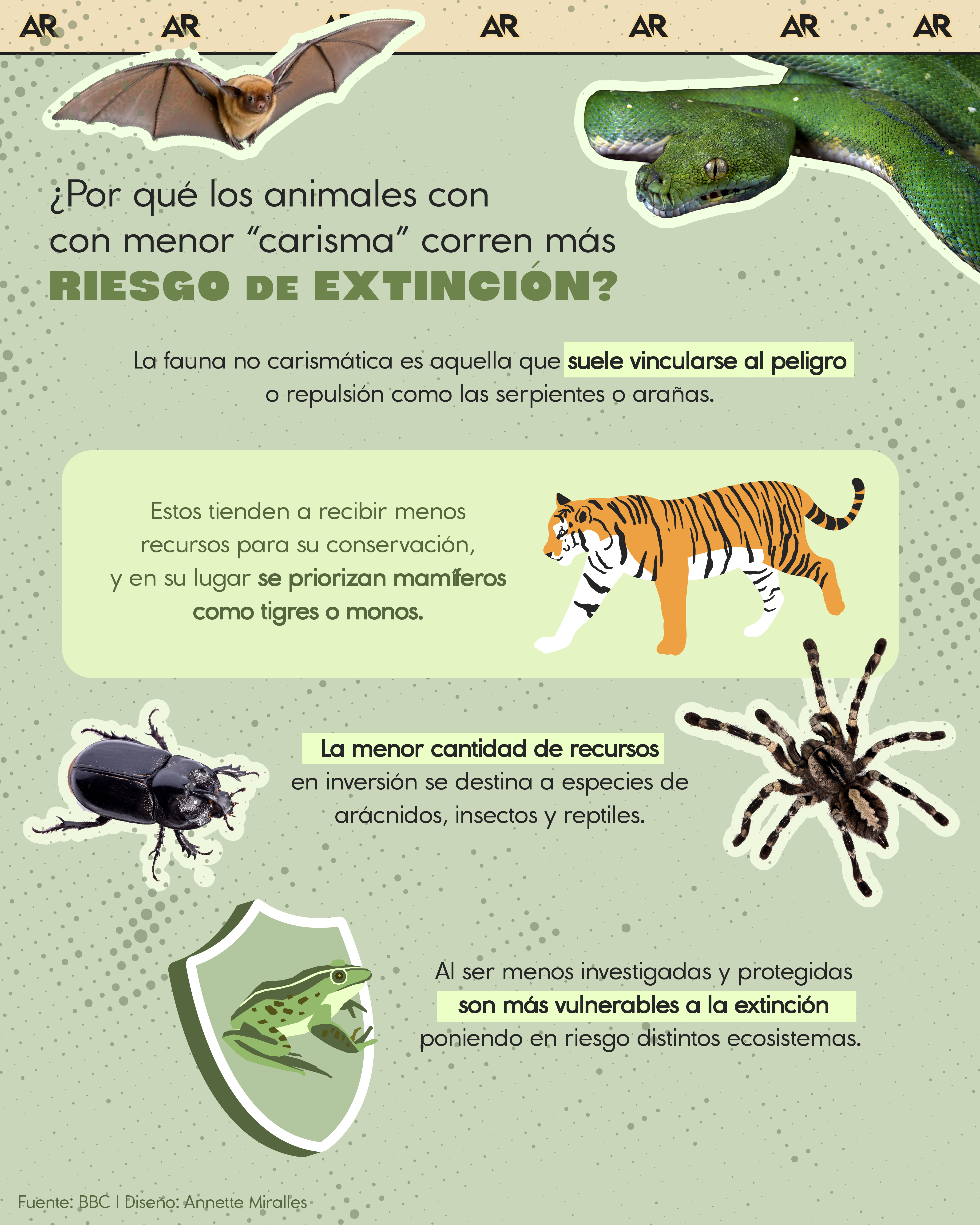 ¿Por qué los animales con menor “carisma” corren más riesgo de extinción?