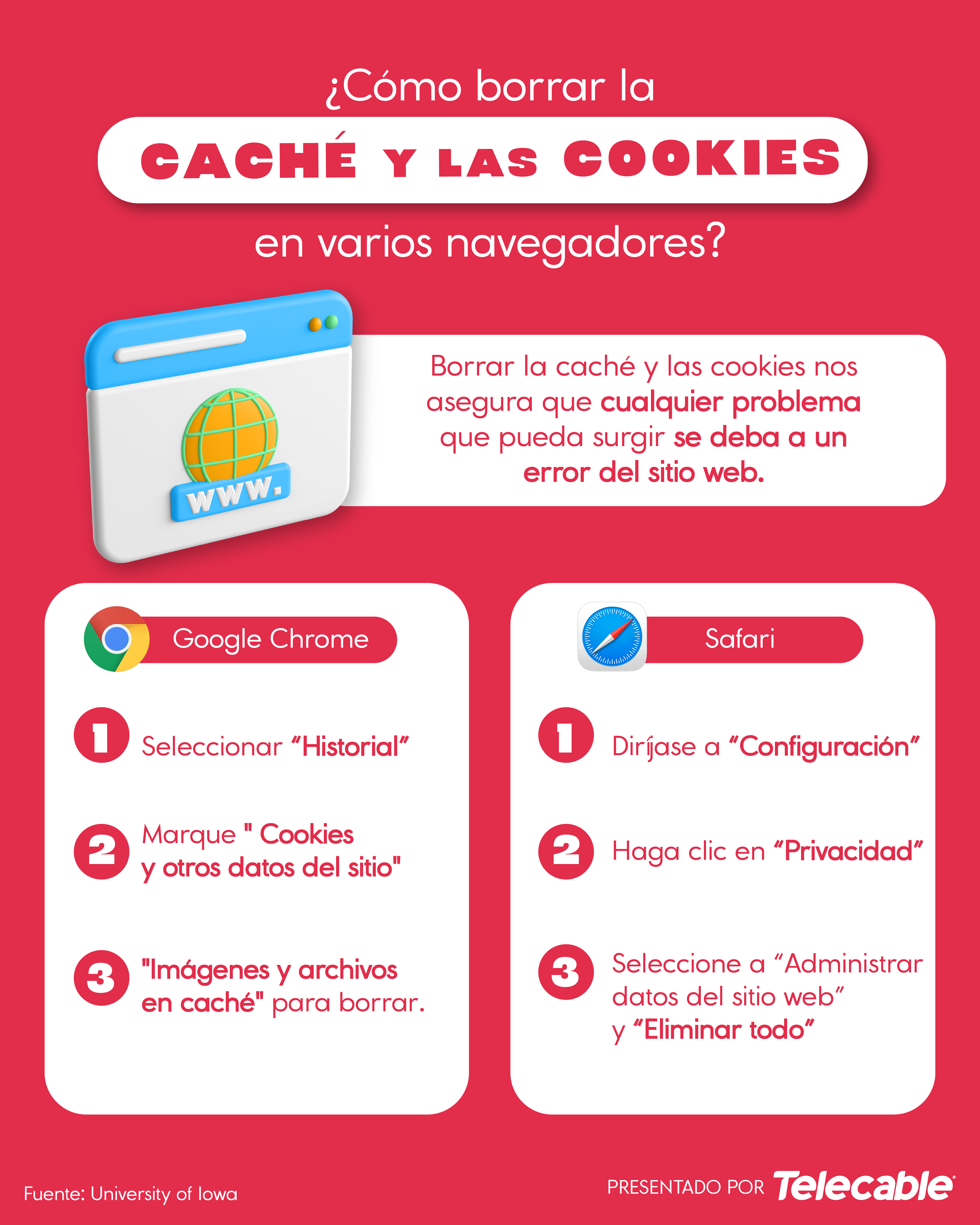 ¿Cómo borrar la caché y las cookies en varios navegadores?