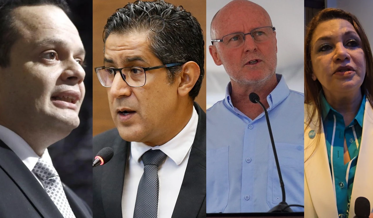 ppso, ratificación, candidatos, diputados, elecciones, 2026