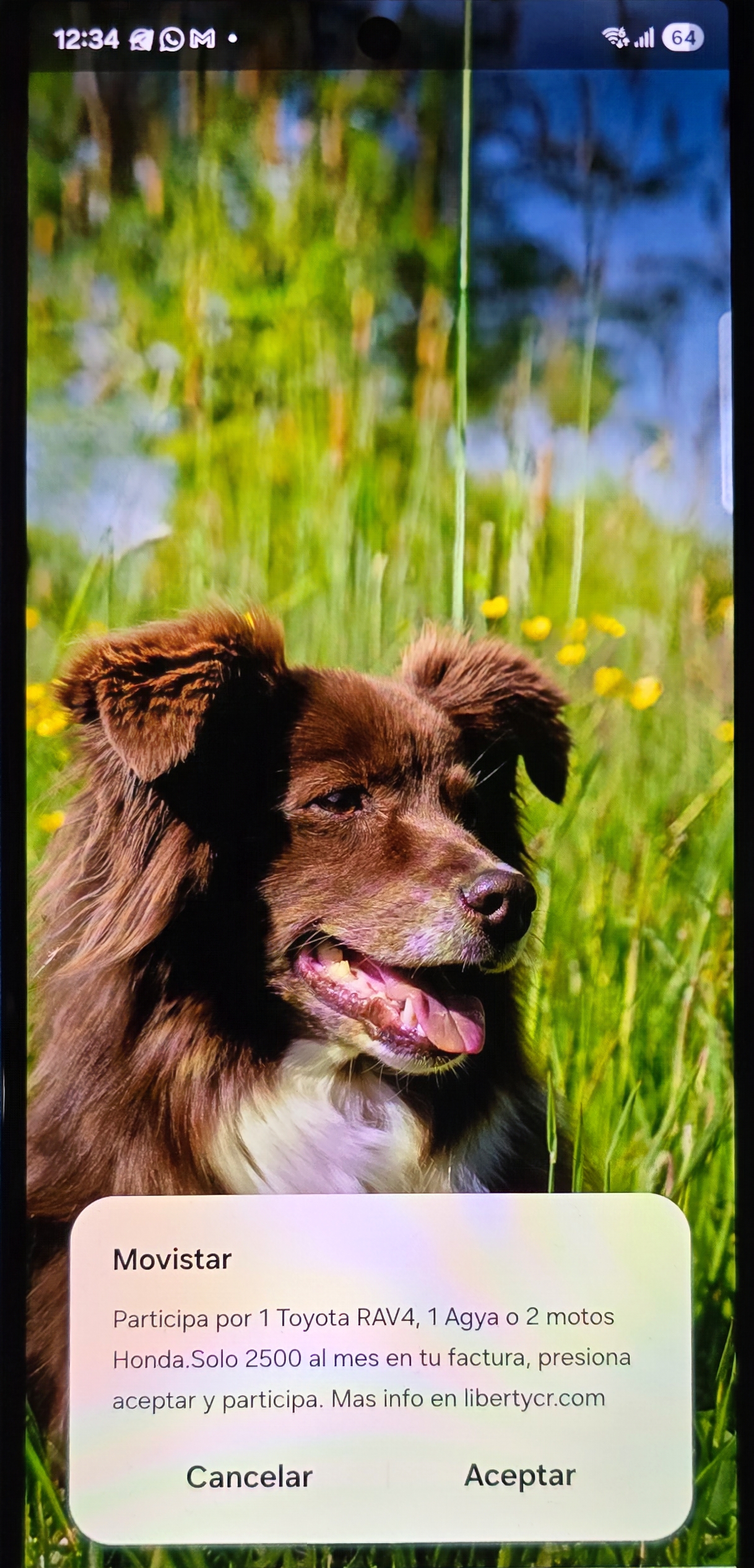 mensaje emergente liberty