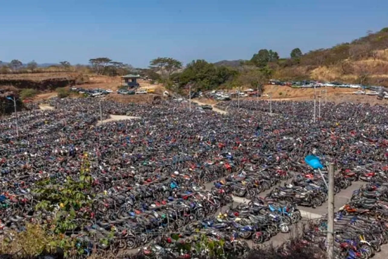 70.000 vehículos, saturan, planteles, Cosevi, falta, personal, capacidad, desinscribir, carros, año, MOPT, noticias, Costa Rica