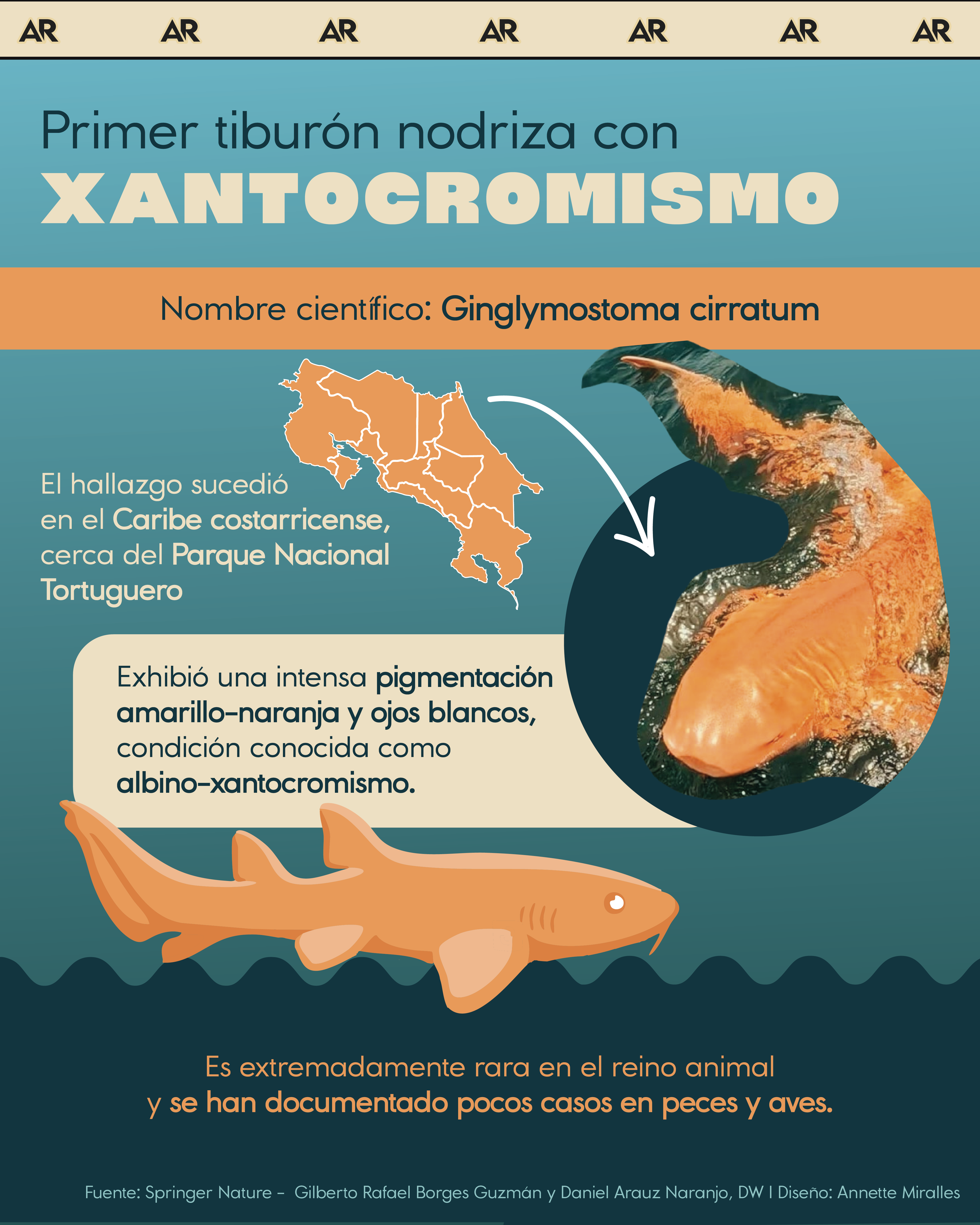 Primer tiburón nodriza con xantocromismo