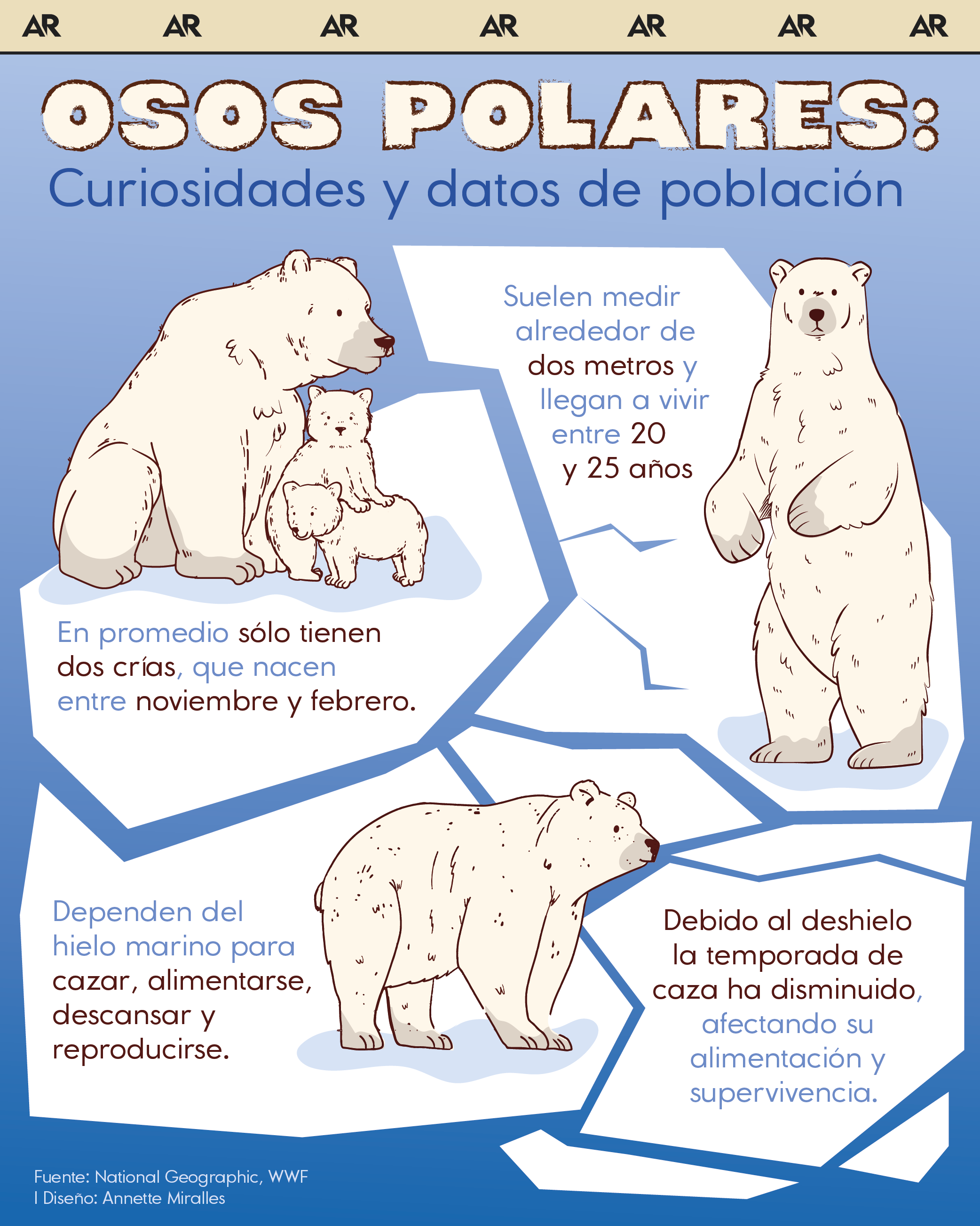 osos polares, deshielo, ártico, ambiente, noticias, Costa Rica 