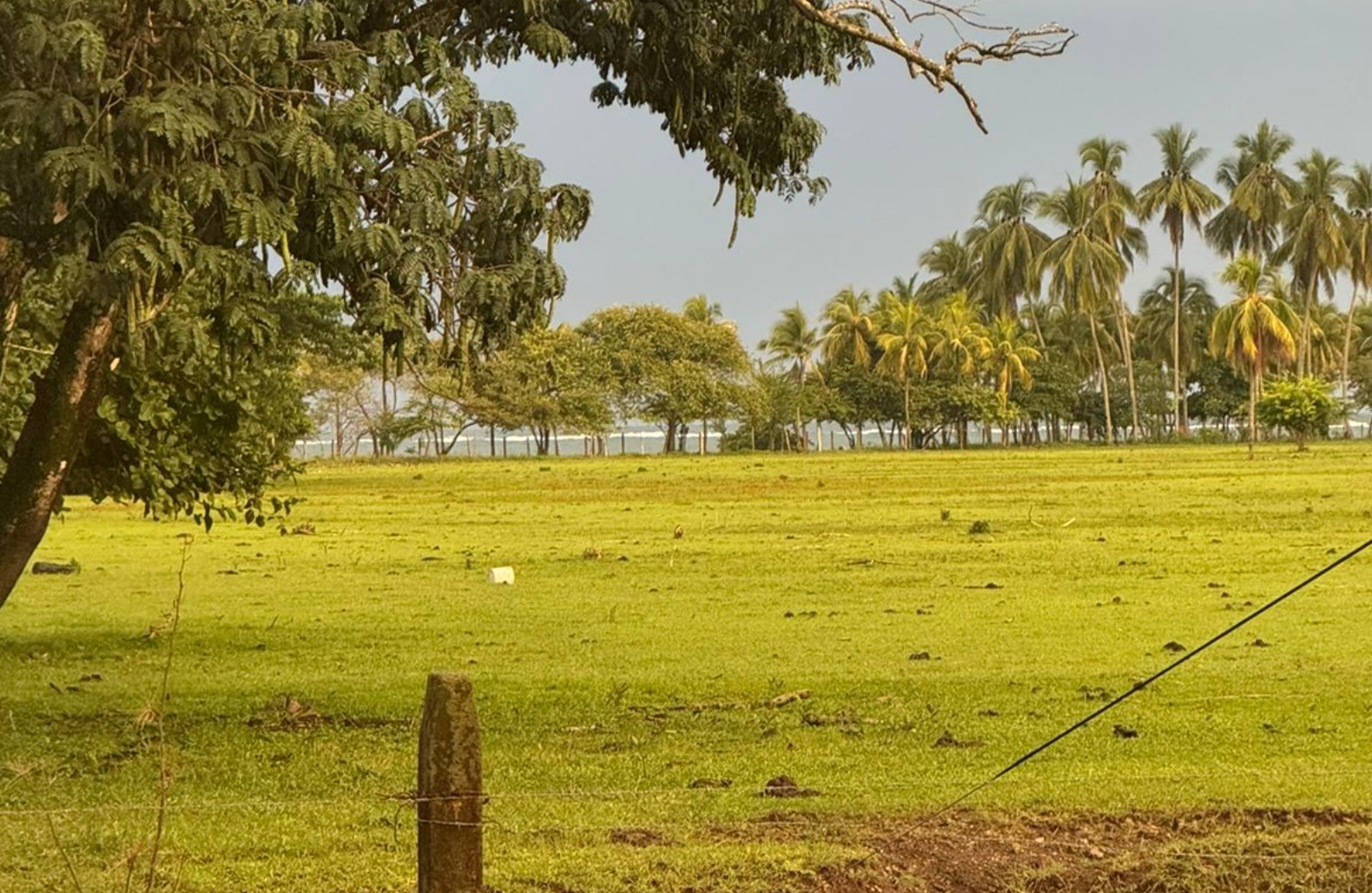Zona de humedal en Sámara, Guanacaste. 