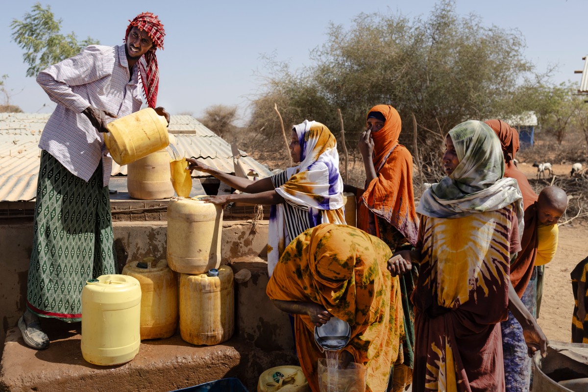 kenia sequía ganado