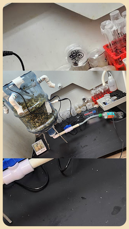 Bioreactor de residuos orgánicos.