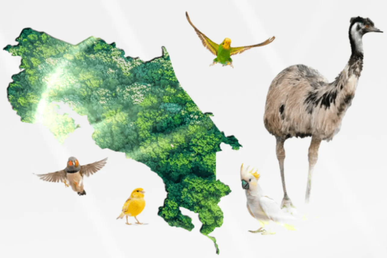 Especies, compañía, vida silvestre, Colegio de Biólogos, Colegios de Médicos Veterinarios, noticias, Costa Rica