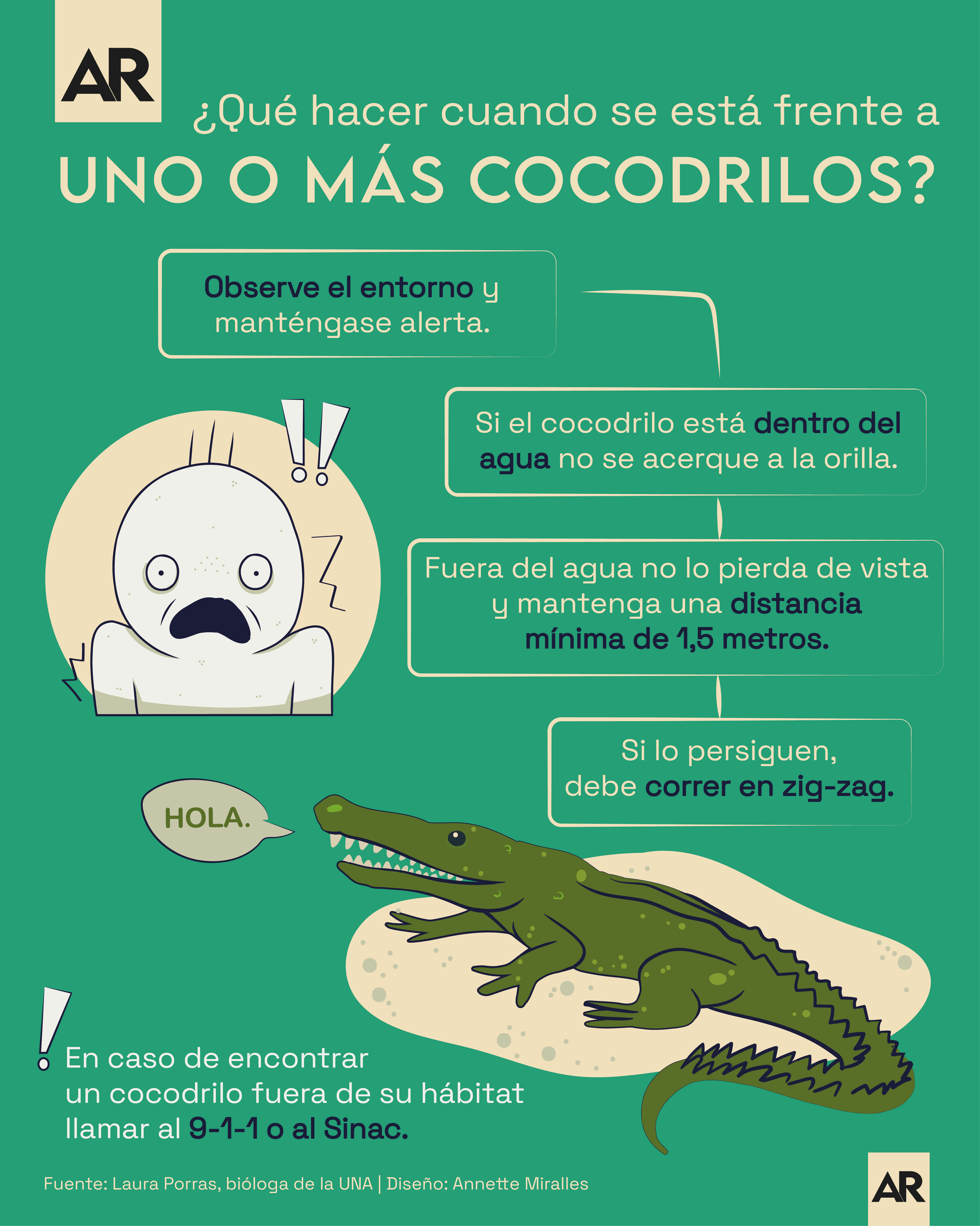 ¿Qué hacer cuando se está frente a uno o más cocodrilos?