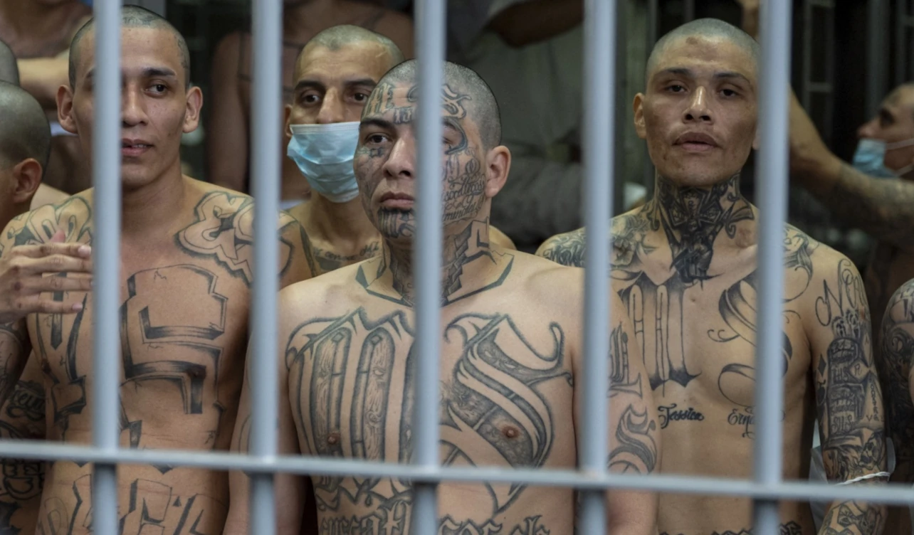 gobierno, El Salvador, combate, pandillas