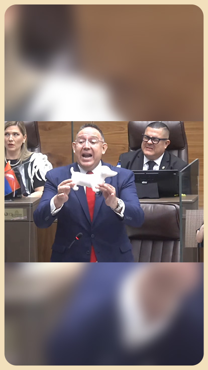 Diputado Leslye Bojorges. 