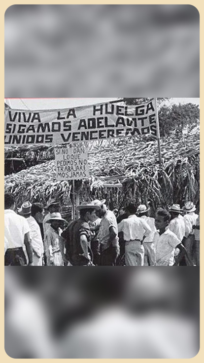 Huelga bananera en Costa Rica.