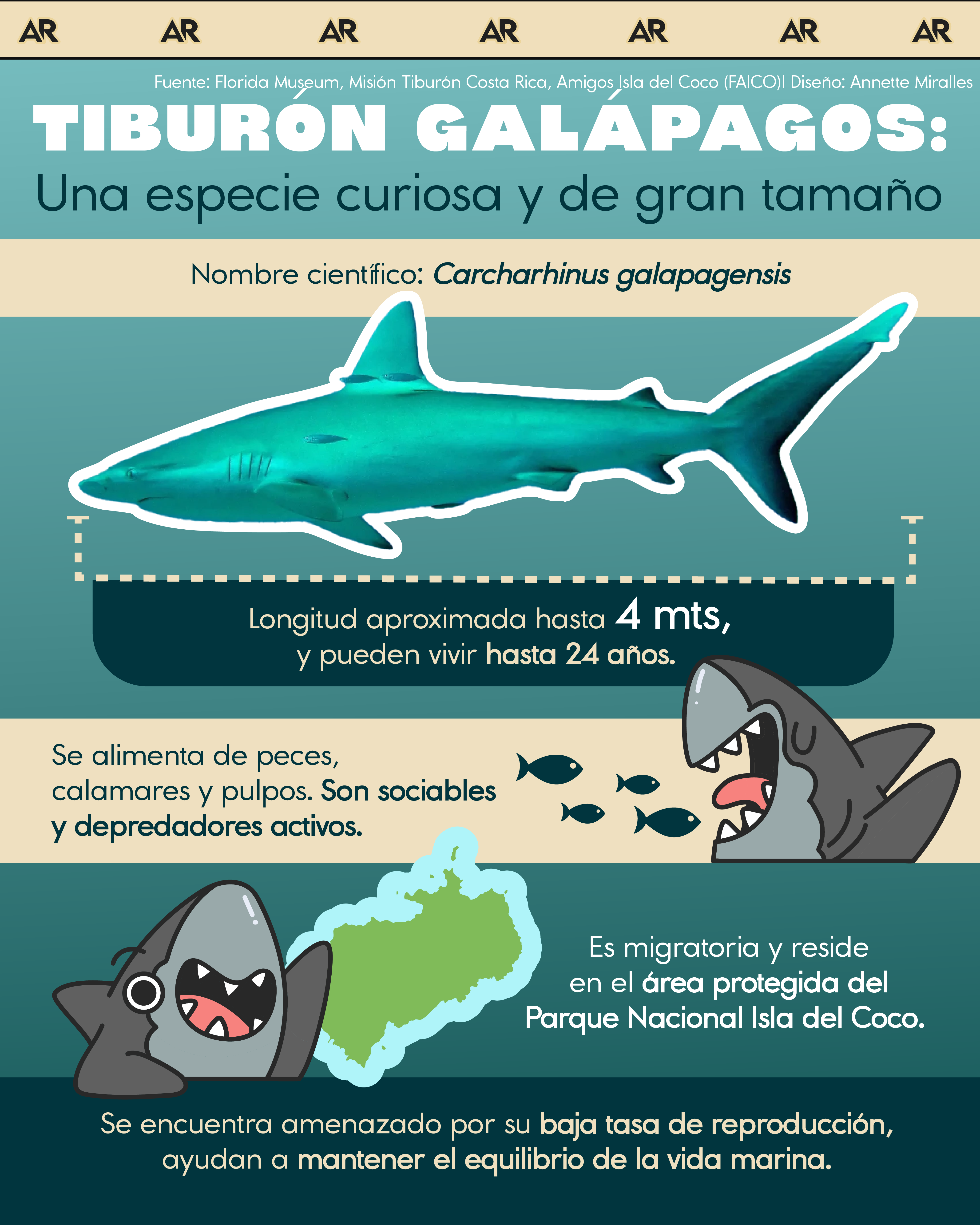 tiburón, galápagos, especies, noticias, costa rica 