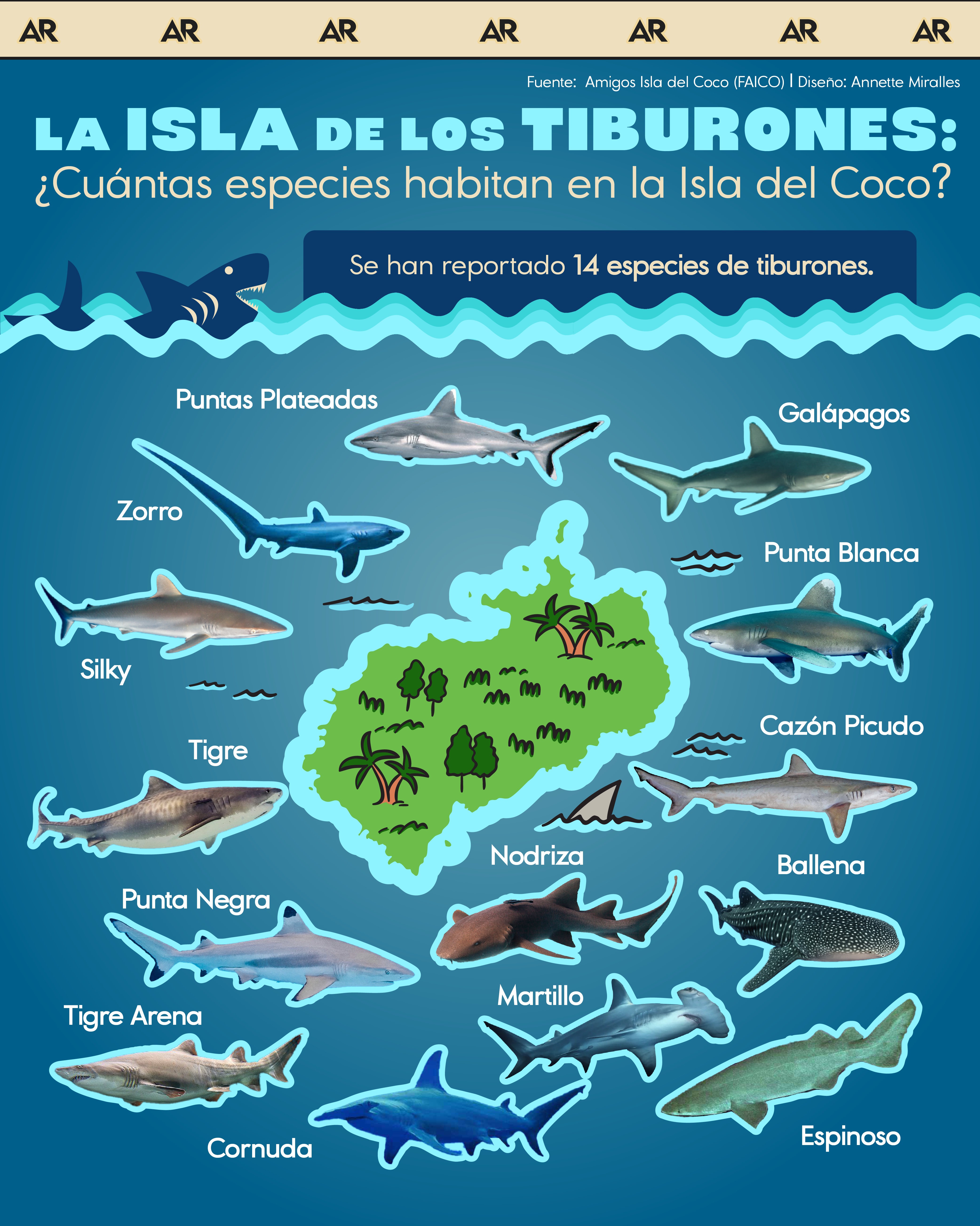 tiburones, Isla del Coco, ambiente, noticias, Costa Rica 