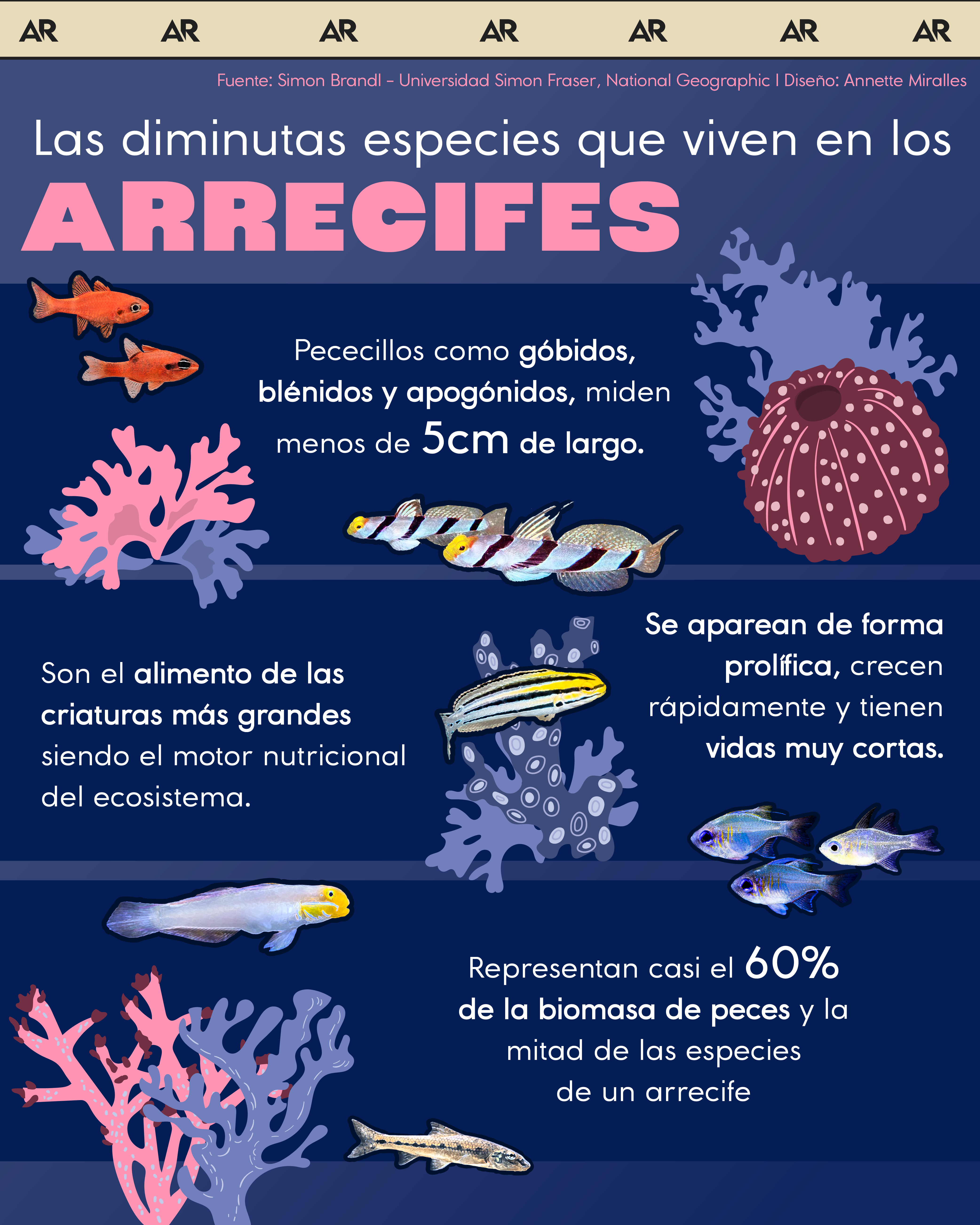 arrecifes, peces, corales, océano, ambiente, noticias, costa rica