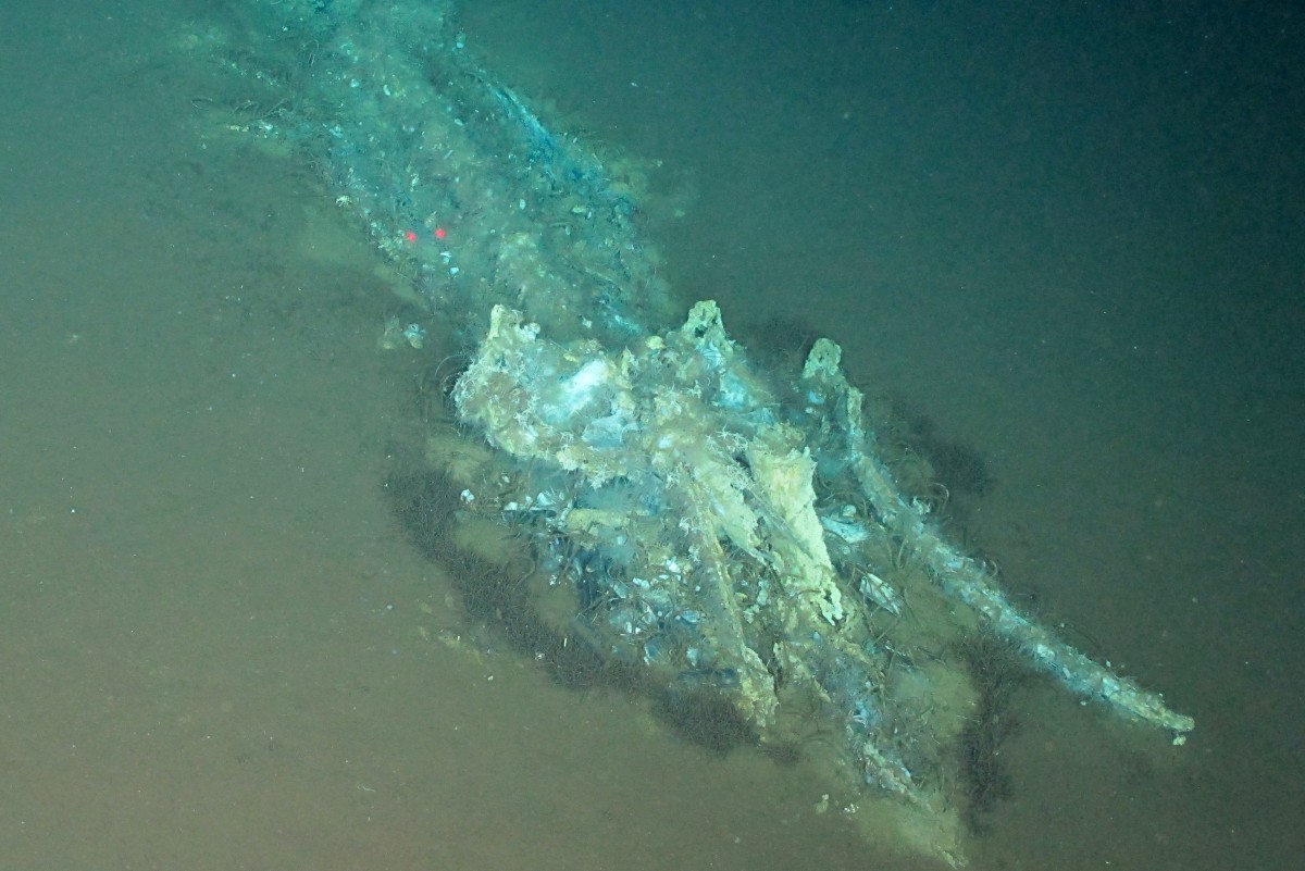Cementerio de ballenas en Oceáno Índico