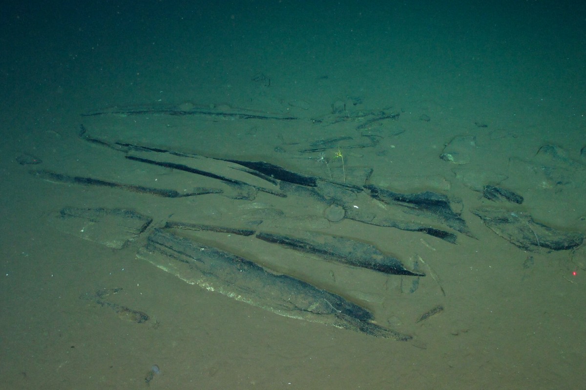 Cementerio de ballenas en Oceáno Índico