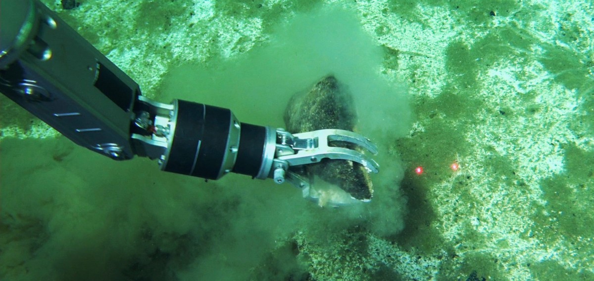 Cementerio de ballenas en Oceáno Índico