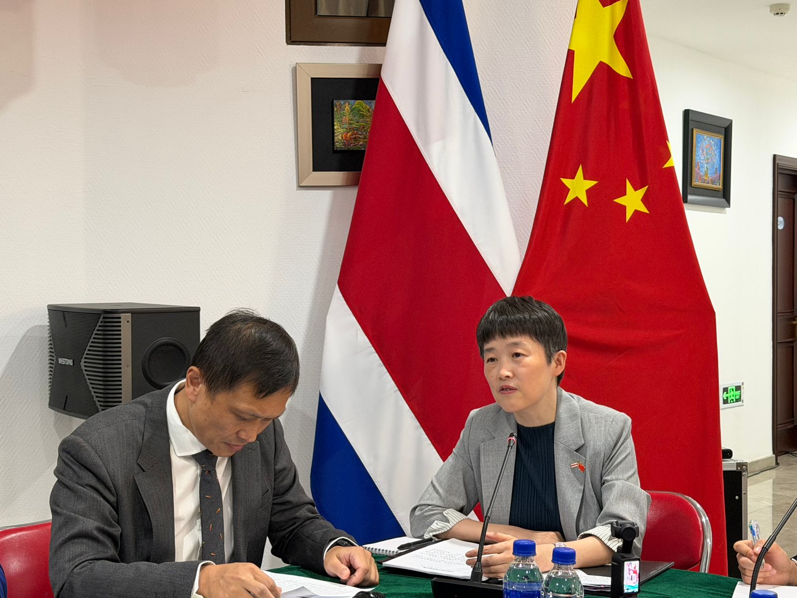 embajadora de la República Popular China en Costa Rica, Wang Xiaoyao