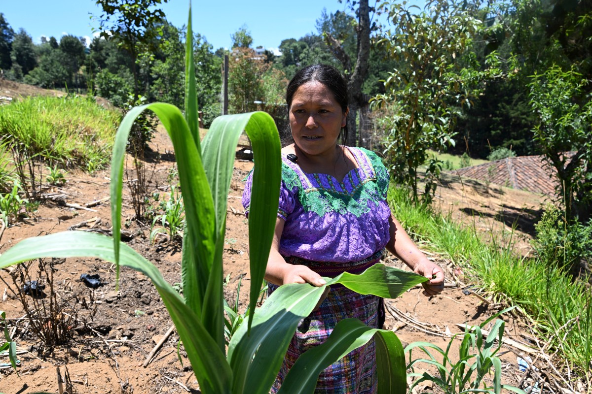 Pueblo indígena en Guatemala afectado por la sequía