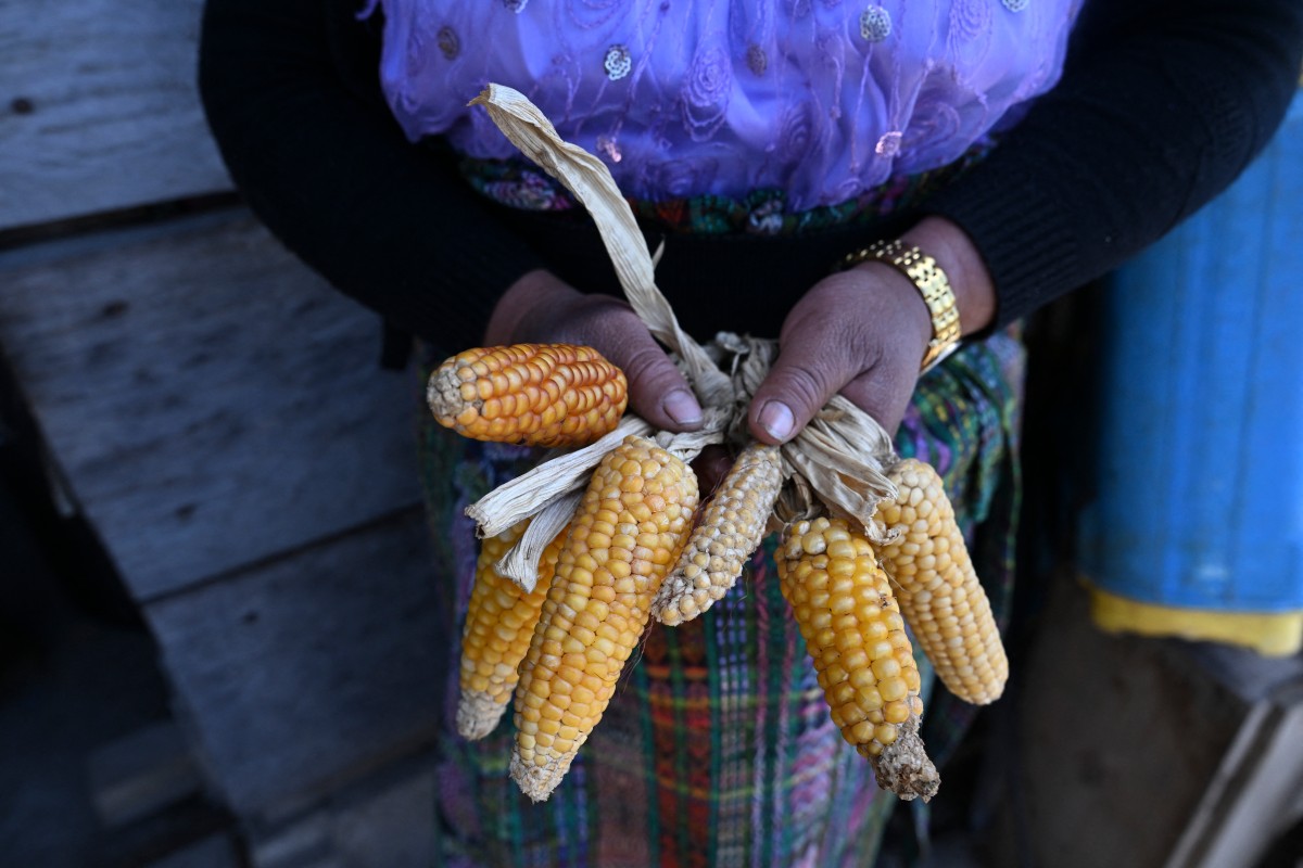 Pueblo indígena en Guatemala afectado por la sequía
