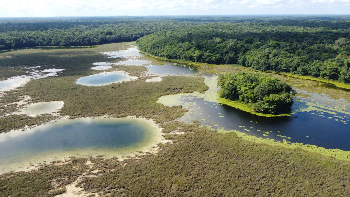selva maya 3.jpg