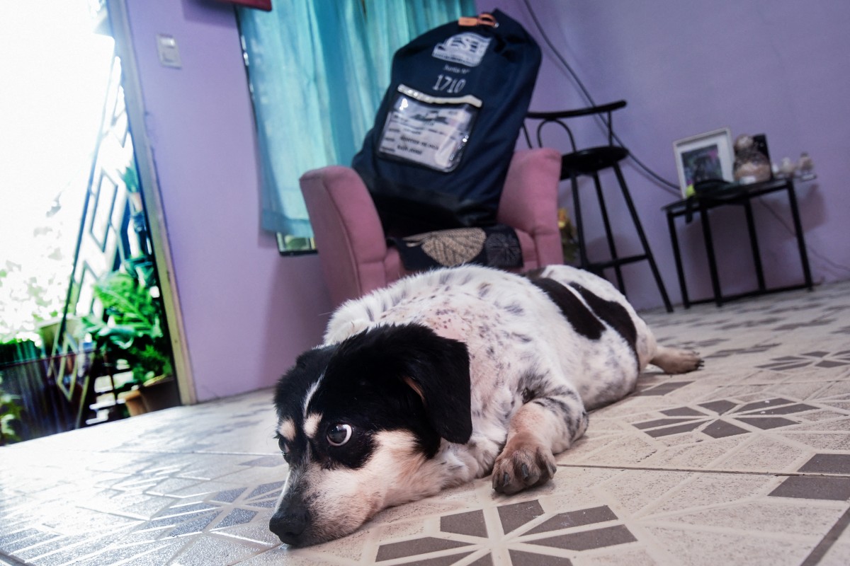 Priscilla Herrera, vecina de Montes de Oca, resguarda tula con papeletas